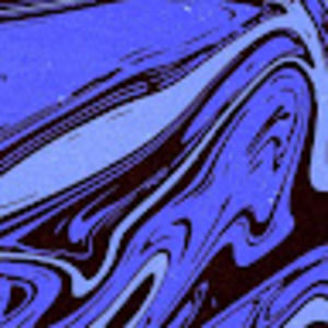 Meet your Posher, Hallé